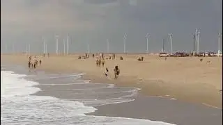 Pescaria na praia com direito a banho 🙏🏾 Praia pedra do sal em Parnaíba Piauí #praia 