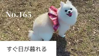 るるのおかげだよ、ありがとう