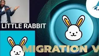 LITTLE RABBIT ✨ LA MIGRATION V1 &Agrave; V2 CONTINUE 🔥