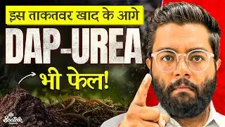 5 Bio Fertilizers That Can Replace DAP–Urea in Organic Farming | Complete Guide