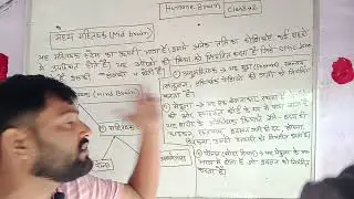 Humane brain part 2 biology class 10 and all competitive examinations 
