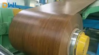 prepainted galvanized steel coil-PPGI PPGL coils & sheets | DWL Powerson Metal