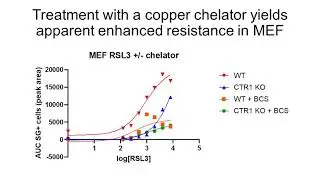 A Potential Novel Regulator of Ferroptosis Cynthia Abby Harris