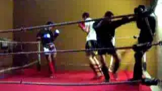 thaiboks training warriors mechelen