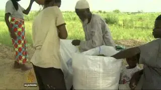 Violence curbs farm productivity in Nigeria