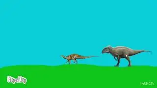 acro hunt