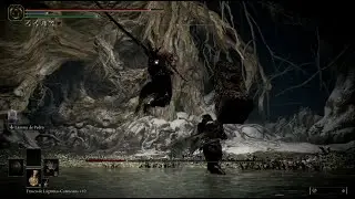 First time beating Malenia. It took 65 attempts. ELDEN RING