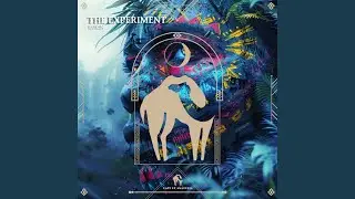 The Experiment