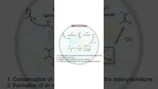 Strecker Synthesis Explained in 3 sec | Amino Acid Formation 🔬 #StreckerSynthesis #organicchemistry