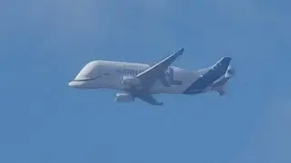 Airbus Beluga XL4 - Hamburg to Chester Hawarden Airport ✈️