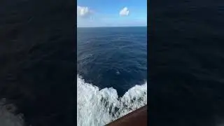 Experience the bad weather on cruise ship experience. Comment where you are watching from 🛳️🛥️🚢