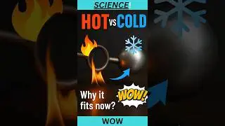 Thermal Expansion & Contraction Experiment | Hot vs Cold Metal Ring & Ball Test #shorts#youtubshorts