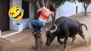 Hilarious Funny Videos & Epic Fail Moments Compilation 2025 | Part 5