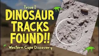 140-Million-Year-Old Dinosaur Tracks Unearthed in South Africa&rsquo;s Western Cape