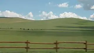 Grassland in China 2025/08/06 13:13 #travel #china