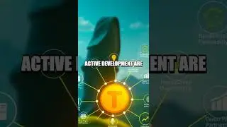 Toncoin Daily Spotlight: A Fresh Look at TON Blockchain