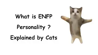 A Story about the ENFP Personality (Explained by Cats)