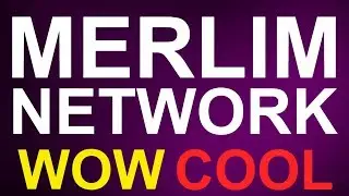 Merlim Network presentation