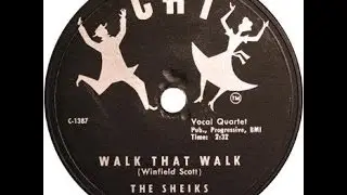 The Sheiks -  Walk That Walk