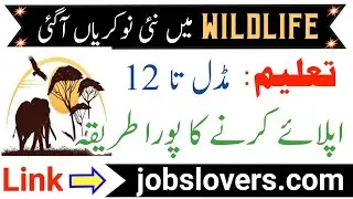 Wildlife Jobs 2022 | Wildlife Jobs In Pakistan 2022 | New Wildlife Division Jobs 2022 |Pakistan Jobs