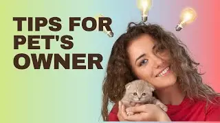 HOW TO BE A GOOD PET OWNER?