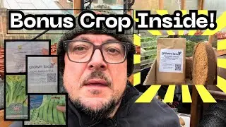 Bonus Crop from Forgotten Kit? Winter Sowing Begins!