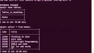 simnple_sql_queries.mp4