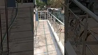 Did you see anything in this balcony railing design #shorts #steel #trendingshorts #railing