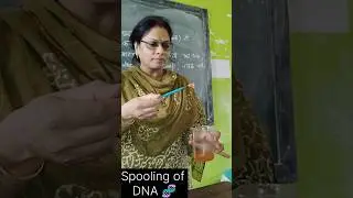 Easy DNA isolation/ tamatar se DNA kase nikale