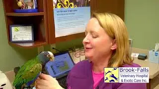 Expert Veterinary TV - Episode #22 Bird Handling