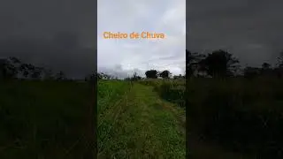 Cheiro de Chuva, Terra Molhada #caraguatatuba #tamoios #contornos
