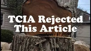 An Argument Against Mechanization In Tree Care