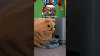 ХУАН МОРЕ 🐶😱 #шорты #собака #вирусный