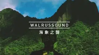 Walrussound 海象之聲 - Upper Building 雲端建築 Official Music Video