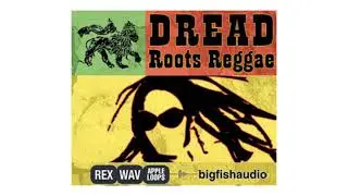 🚥 BIG FISH AUDIO - Dread Roots Reggae - SAMPLES & DRUM KITS - DOWNLOAD LINK [FREE]