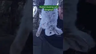 Rabbit Hunting with a Slingshot! #adventure #hunting #slingshot #catapulthunting