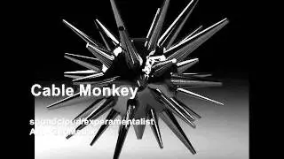 Cable Monkey - Drum And Bass