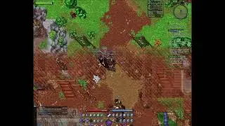 Shuja90 Live Stream |Ravenquest live stream | shuja90 Luu 90 guild | sunflower land | cambria