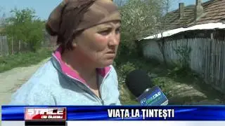 VIATA LA TINTESTI