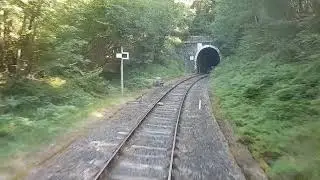DLS'Train - VOYAGE À BORD DU GENTIANE EXPRESS (2018)
