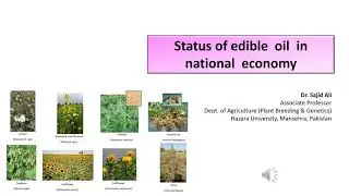 Status of edible  oil  in  national  economy | Breeding oilseed crops | Dr. Sajid Ali