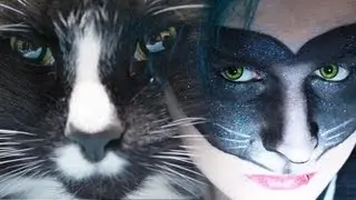Femme Ferocity (Reupload): Davey is Cat-drogynous