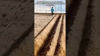 ​How to Easily Make Perfect Furrows Inside a Large Greenhouse?
