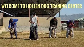 Come And Learned At Hollen Dog Training Centre Mob no&hellip;9774855951