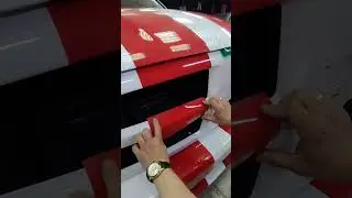 полосатик Додж