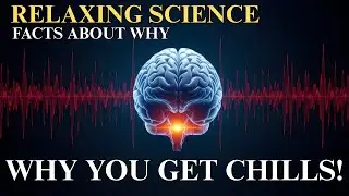 Why You Get Chills: The Science of Frequencies Below Human Hearing.