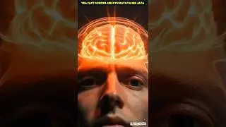 &ldquo;ये facts स्कूल में नहीं बताए जाते&rdquo;क्योंकि #facts #education #mind #amazingfacts @FactoHolic