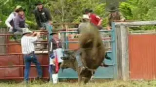 Quaama-Cobargo Rodeo 2010