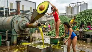 How Avocado Oil Is Made 🥑 (Full Factory Process)
