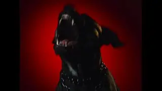 Midnight Movies British Shorts Film Festival 2026 - Trailer